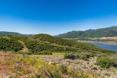 6_Lot-View_1800x1200_3521879
