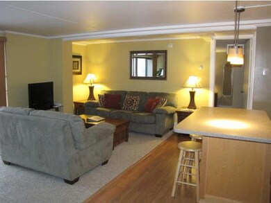 1229 Notchbrook Rd unit 20CS, Stowe, VT 05672 - photo 6