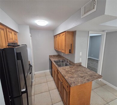 510 Golden Raintree Place, Brandon, FL 33510 - photo 7