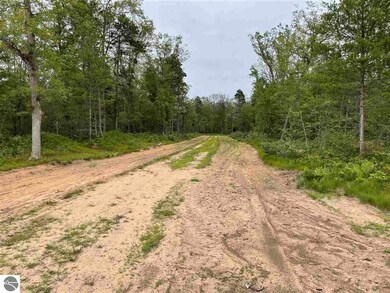 0 Esmond Rd unit 1890514, Hale, MI 48739 - photo 3