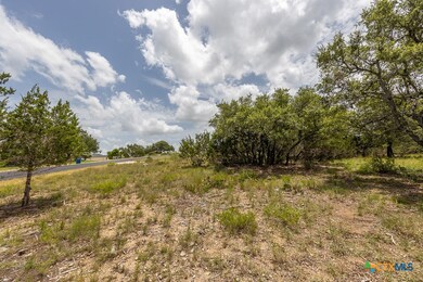 162 Scarlet Ct, Canyon Lake, TX- Oak Shores Estate