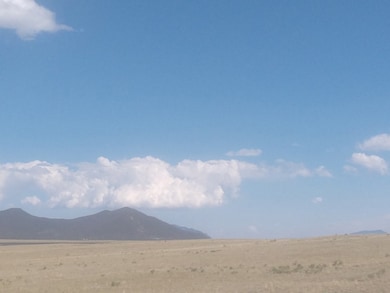 0 Mockingbird Ln, Hartsel, CO 80449 - photo 6