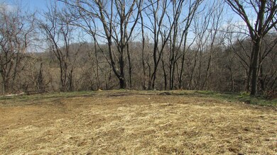 114 Furnace Rd, Johnson City, TN 37601 - photo 3