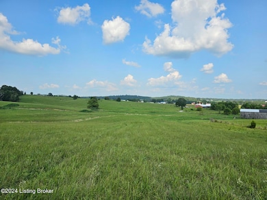 20240805_155956 (Large)