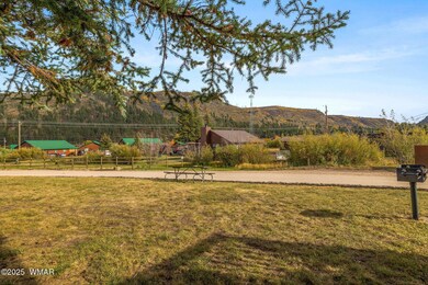 87 1120, Greer, AZ 85927 - photo 4