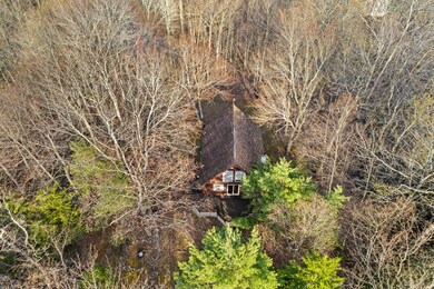 Drone View