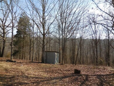 15041 Parker Branch Rd, West Fork, AR 72774 - photo 5