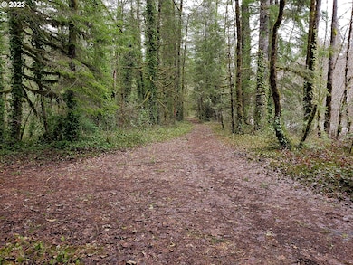 0 E Barlow Trail Rd unit 369670884, Brightwood, OR 97011 - photo 7