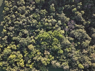 128.3 M/L Acres Wisconsin 78, Mount Horeb, WI 53572 - photo 7