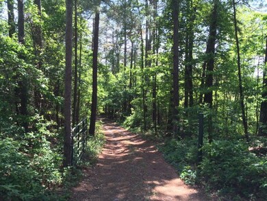 133 County Road 423, Oxford, MS 38655 - photo 2