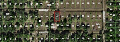 2403 Jackson St, Inverness, FL 34453 - photo 3