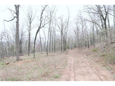 0 Bug Scuffle Rd unit 704288, West Fork, AR 72774 - photo 3