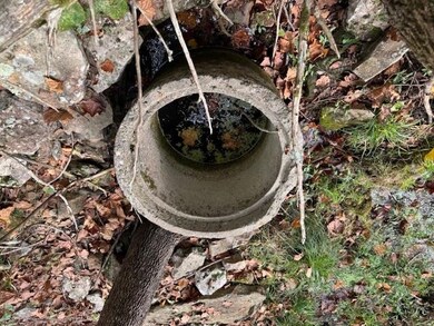 253 Coyote Rd, Salem, AR 72576 - photo 5