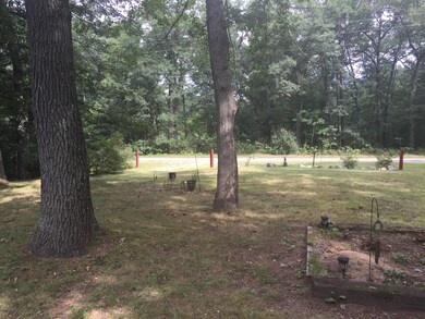 2538 W 11 Mile Ave, Bitely, MI 49309 - photo 6