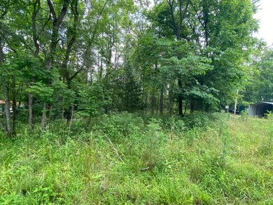 01 Baker Dr, Burnside, KY 42519 - photo 6