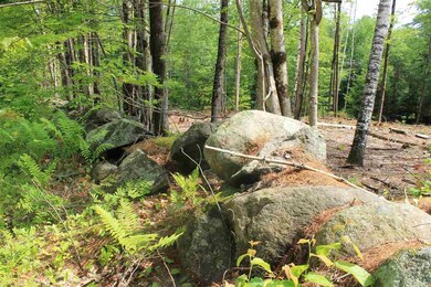 00 Mountain View Rd unit 8, Campton, NH 03223 - photo 5