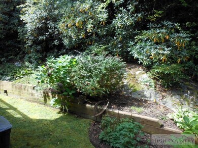 Natural Garden: The rhododendron and azaleas are l