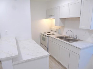 Kitchen featuring a sink, under cabinet range hoo