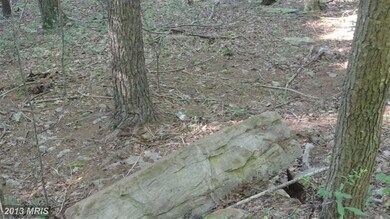 0 Calypso Trail unit 1003640048, Great Cacapon, WV 25422 - photo 3