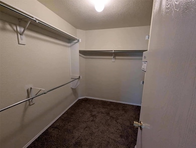 Spacious closet with dark carpet