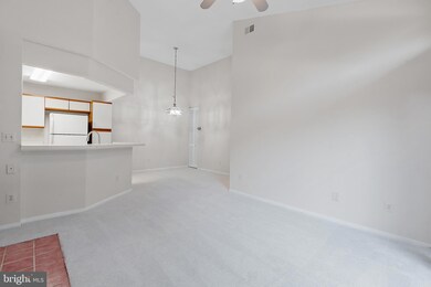 11739 Summerchase Cir unit 1739-B, Reston, VA 20194 - photo 5