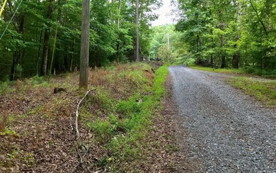 Additional View