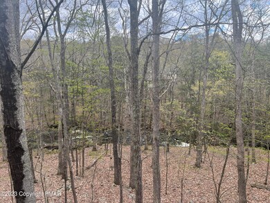 123 Meadow View Ct, Bushkill, PA 18324 - photo 6