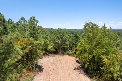 411 Kaisley Blue Eye Way, Broken Bow, OK 74728 - photo 5