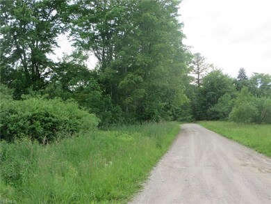 VL Calhoun & State Line Rd, Conneaut, OH 44030 - photo 6