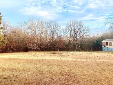 1104 County Road 302, Poplar Bluff, MO 63901 - photo 4