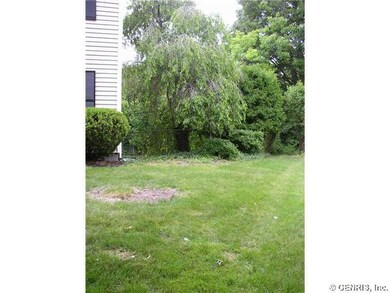 Yard.