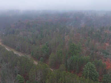 6270 Woods Trail, Custer, MI 49405 - photo 7