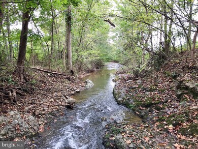 0 Whitney Ln unit VAWR2006542, Bentonville, VA 22610 - photo 5