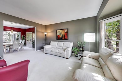 23058 Arbor Creek Dr, Plainfield, IL 60586 - photo 6