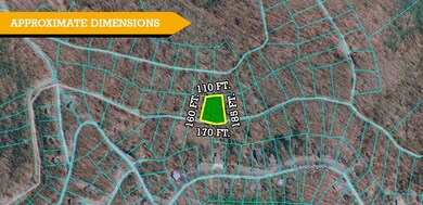 158 Wild Iris Ln, Beech Mountain, NC 28604 - photo 5