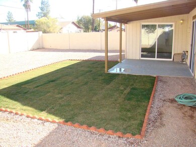 Private Back Yard