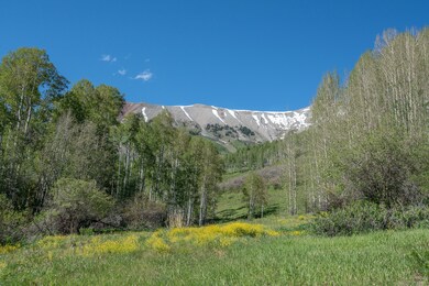 Lot 51 - 4