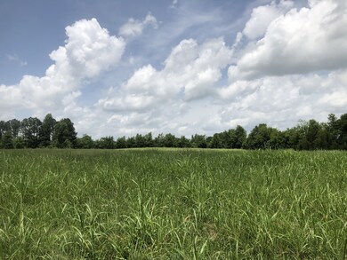 340 Frank Martin Rd, Shelbyville, TN 37160 - photo 6