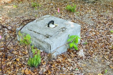 Septic