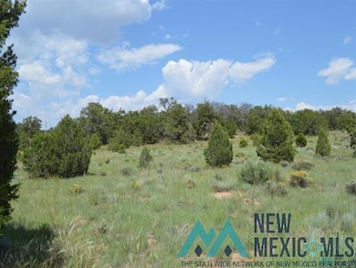 TBD Five Gate Rd, Candy Kitchen, NM 87357 - photo 2
