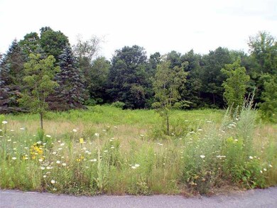 Land/Lot. On Mainly Level and Gentle...