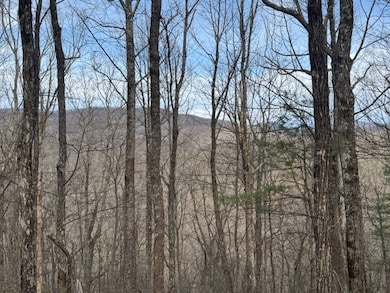 Lt 4,5,6 Abercrombie Estate, Suches, GA 30572 - photo 2