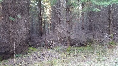 101 State Route 105, Raymond, WA 98577 - photo 5