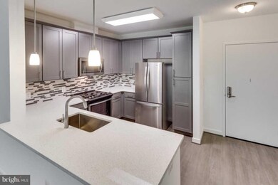 Enclave unit 208, Fairfax, VA 22031 - photo 7