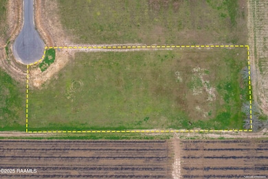 3902 Chemin Belle Terre, Maurice, LA 70555 - photo 2