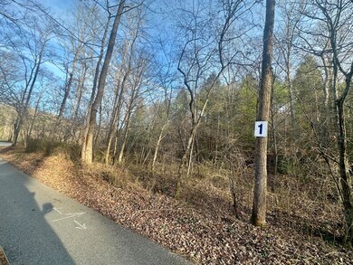 Lot 1 Radford Rd, East Bernstadt, KY 40729 - photo 4