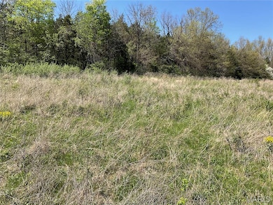 121 Red Barn Ln, Defiance, MO 63341 - photo 6