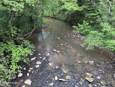 3 Rutledge Lot 3 Pike, Blaine, TN 37709 - photo 6