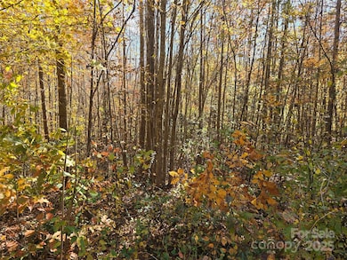 856 Horseshoe Bend Rd, Troy, NC 27371 - photo 6