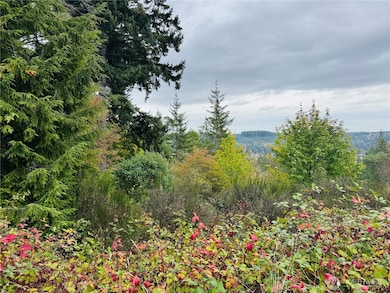 181 E Rainier Ct, Allyn, WA 98524 - photo 3